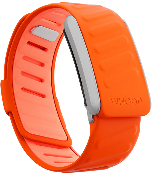 Surge SportFlex Band